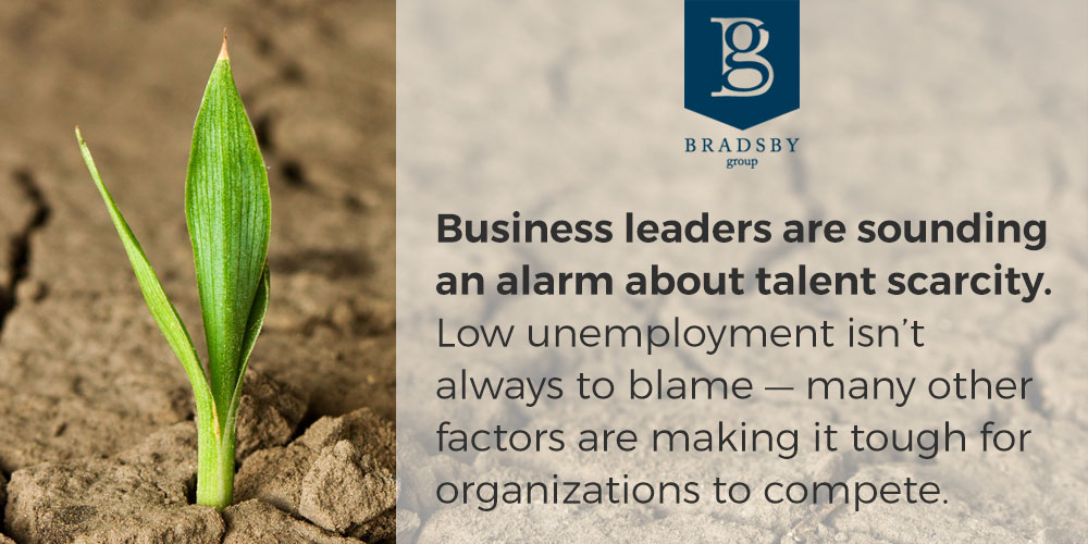What We Do - Bradsby Group Business leaders are sounding an alarm about talent scarcity. Low unemployment isn’t always to blame — many other factors are making it tough for organizations to compete.